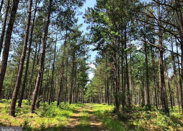 Property at Old Bridge Road (rt. 742), Courtland, VA 23837