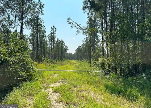 Property at Plank Road (tract: Chesapeake Southampton 2-2), Courtland, VA 23837