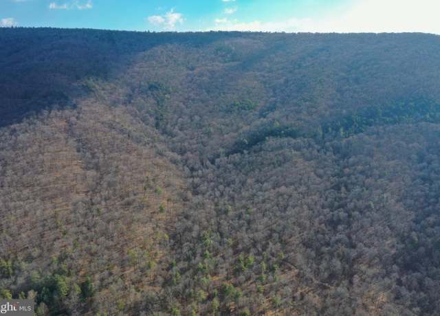 Property at 0 Church Mountain Ln, Fulks Run, VA 22830