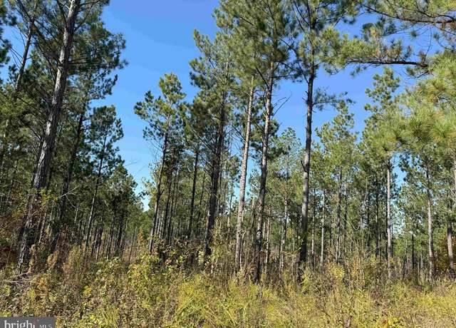 Property at Woodfork Road (rt. 650) (tract Rogers-4), Charlotte Court House, VA 23923