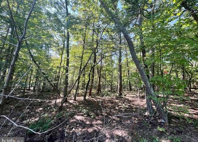 Property at Cardinal Dr, Luray, VA 22835