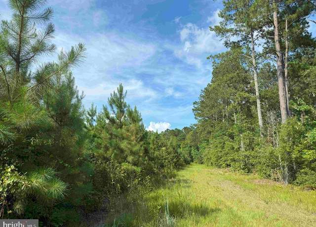 Property at Black Creek Road (tract: Chesapeake Surry Griffin), Franklin, VA 23851