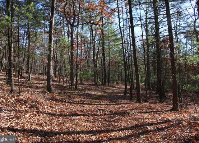 Property at Rolly Rd, Mount Jackson, VA 22842
