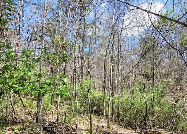 Property at Vacant Land Cabin Branch Rd, Marshall, VA 20115