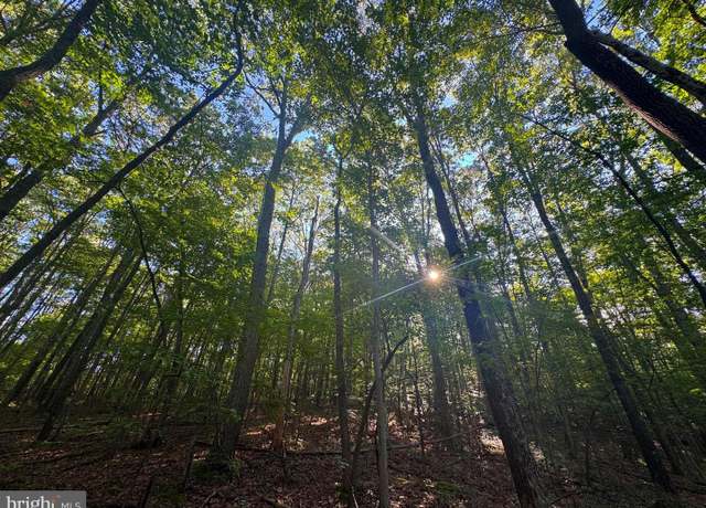 Property at Tract 2 S Teter Creek Rd, Belington, WV 26250