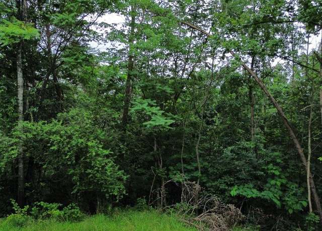 Property at LOT 9 Lookout Dr, Shenandoah, VA 22849