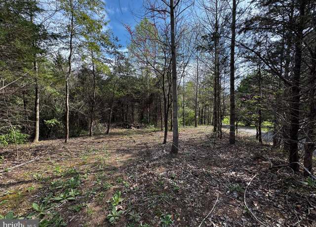 Property at 0 Castleton Frd, Castleton, VA 22716