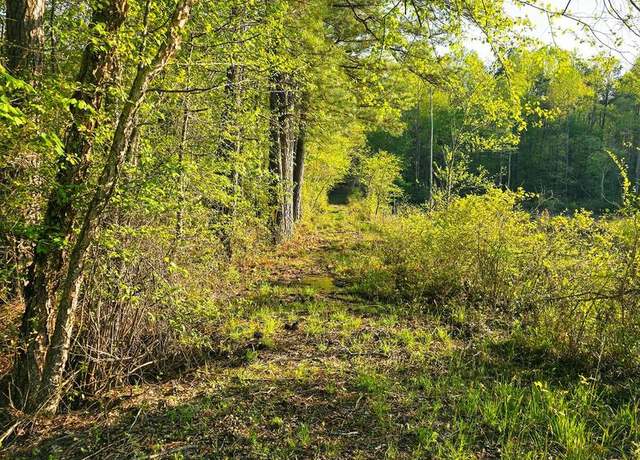 Property at Lot 16 Tax Id 94A-2 B-16 Jennings Dr, Ruther Glen, VA 22546