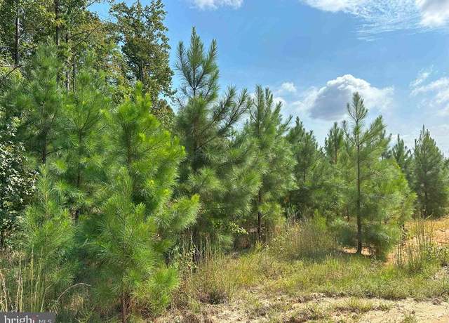 Property at Davis Lowground Road (tract: Big Juniper-1), Keysville, VA 23947