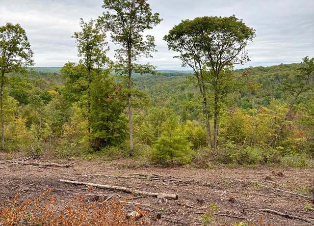 Property at 35 & 36 Beech Creek Mountain Rd, Beech Creek, PA 16822