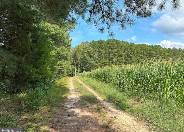 Property at Davis Lowground Road (tract: Big Juniper-2), Keysville, VA 23947