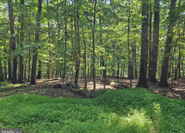 Property at Dogwood Ln, Bluemont, VA 20135
