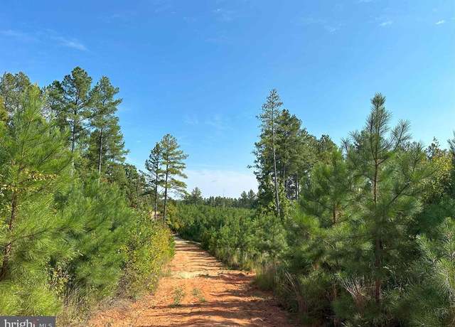 Property at Cumberland Road (rt. 45) (tract: Guinea Mills-2), Cumberland, VA 23040