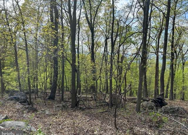 Property at 0, Chester Gap, VA 22623