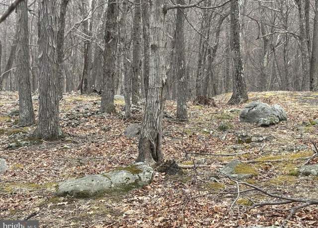 Property at 46 Goldenseal Rd, Maysville, WV 26833