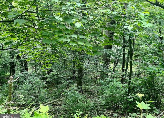 Property at Greenway Ln, Luray, VA 22835