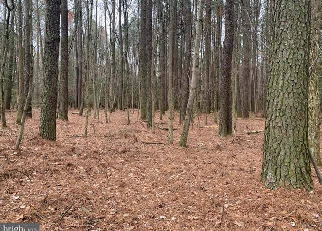 Property at 0 Upper Ferry Rd, Eden, MD 21822