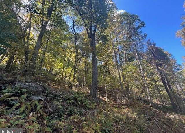 Property at Cliff Heights Rd, Stanley, VA 22851