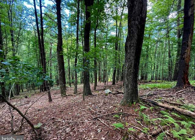 Property at Lot 20 Wits End, Mathias, WV 26812