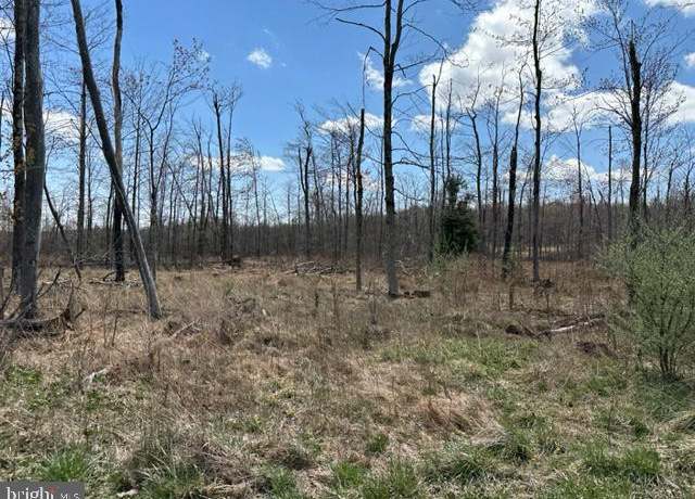 Property at Cherry Ridge Road (lot 2), Mount Storm, WV 26739