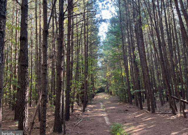 Property at 1 TBD Riceville Rd, Gretna, VA 24557