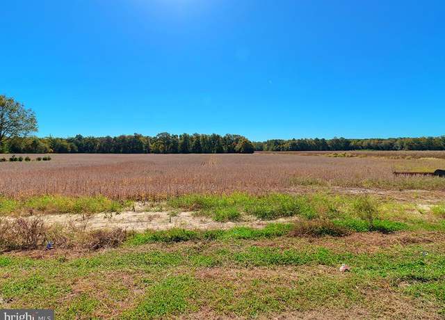 Property at 0 Harmons Hill Rd, Millsboro, DE 19966