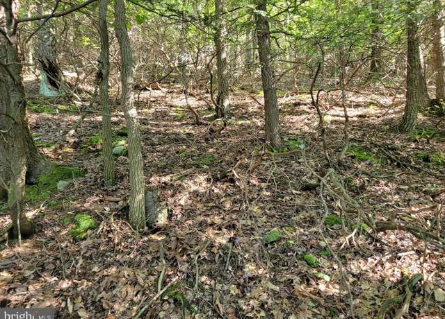 Property at Lot 89 Ridge Run, Claysburg, PA 16625