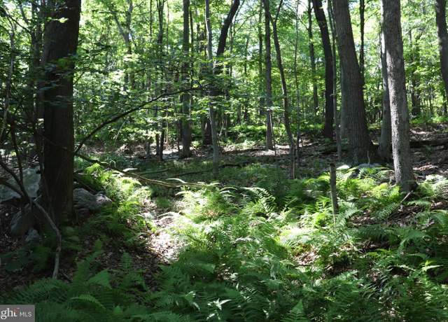 Property at Lot 312 Ridge Run, Claysburg, PA 16625