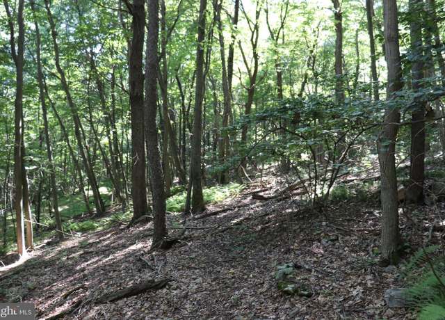 Property at Lot 319 Ridge Run, Claysburg, PA 16625