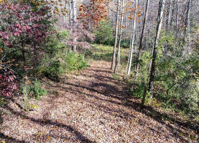 Property at TBD Pine Torch Unit 78A, Madison, VA 22727