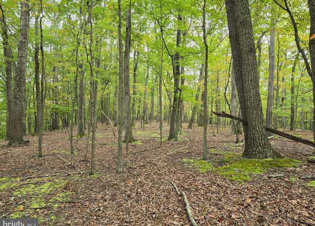Property at Sideling Mountain Trail - Lots 64 & 65, Great Cacapon, WV 25422
