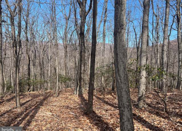 Property at Crimm's Run Ln, Washington, VA 22747