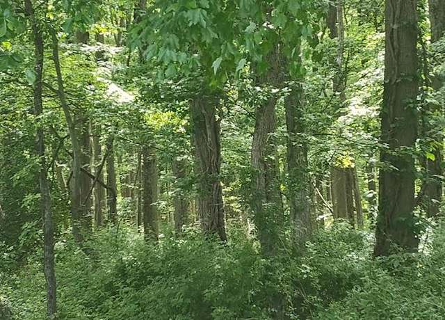 Property at Caulks Field Rd, Chestertown, MD 21620