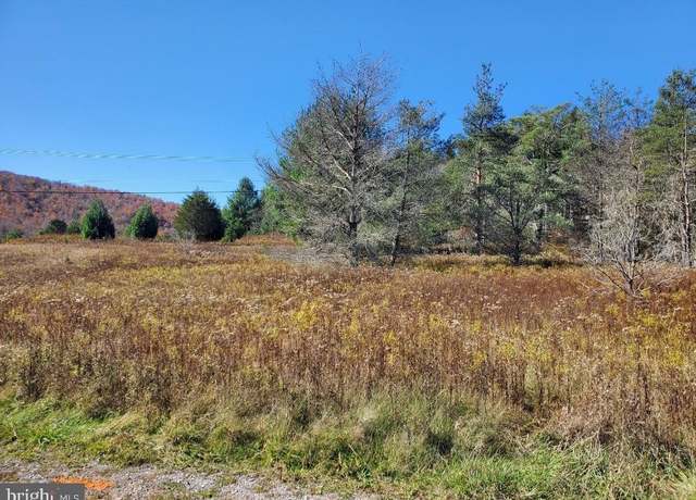 Property at Lot 48 Mountain View Circle Dr, Davis, WV 26260