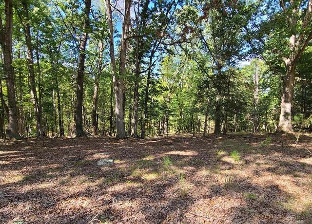 Property at Yeager Court, Lot #13, Petersburg, WV 26847