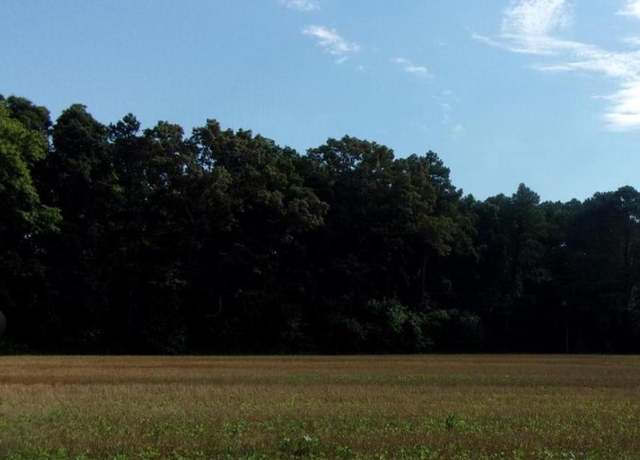 Property at 2 parcel 133-06.00-18.02 East Piney Grove Rd, Georgetown, DE 19947