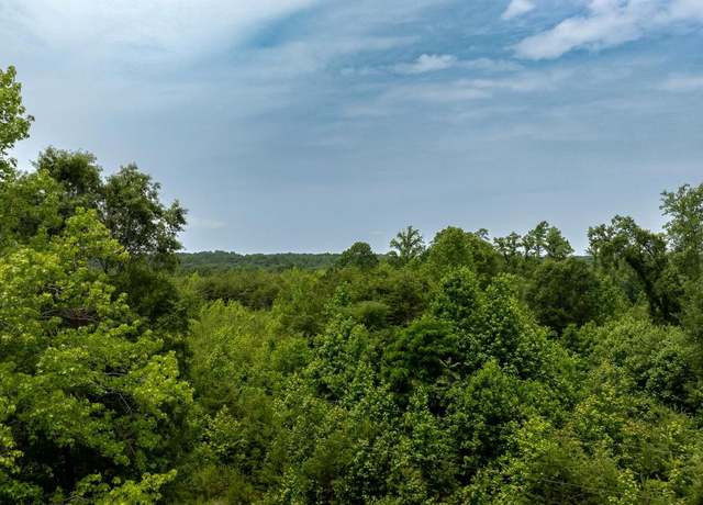 Property at TBD Big Cedar Ln #9, Nathalie, VA 24577