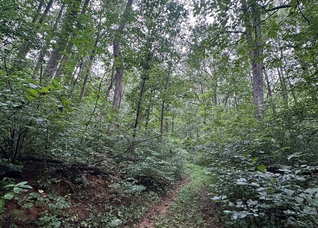 Property at Blueridge Mtn, Paris, VA 20130