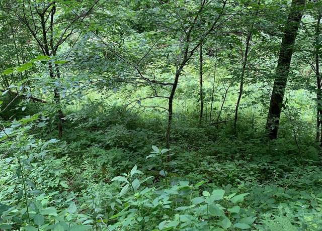 Property at Route 5, Renick, WV 24966