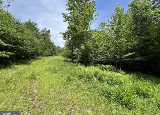 Property at Off Tuscan Ridge Rd, Davis, WV 26260