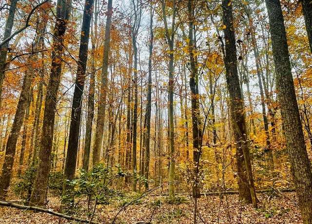 Property at 8704 Millwood Dr, Spotsylvania, VA 22551