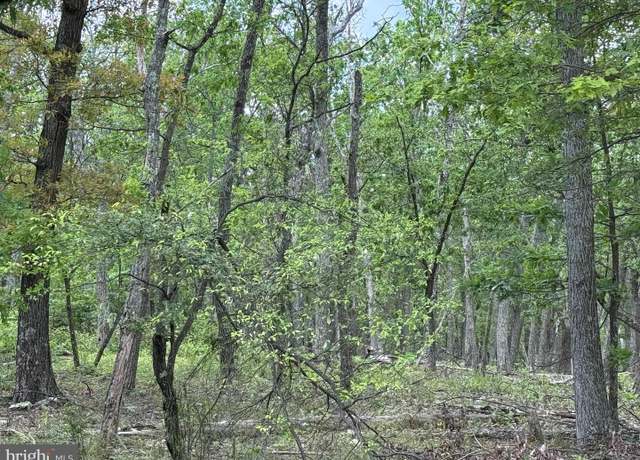 Property at 0 N Pioneer Ln, Augusta, WV 26704