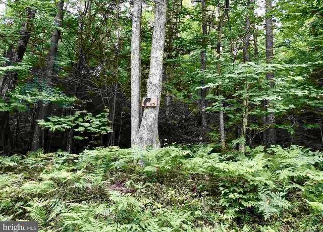 Property at 25 Black Bear Trl, Davis, WV 26260