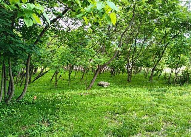 Property at 0 Leisczs Bridge Rd, Reading, PA 19605
