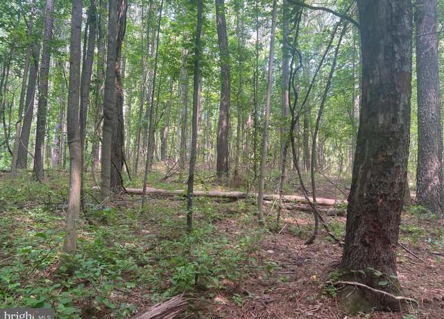 Property at 0 Thornton Gap Church Rd, Sperryville, VA 22740