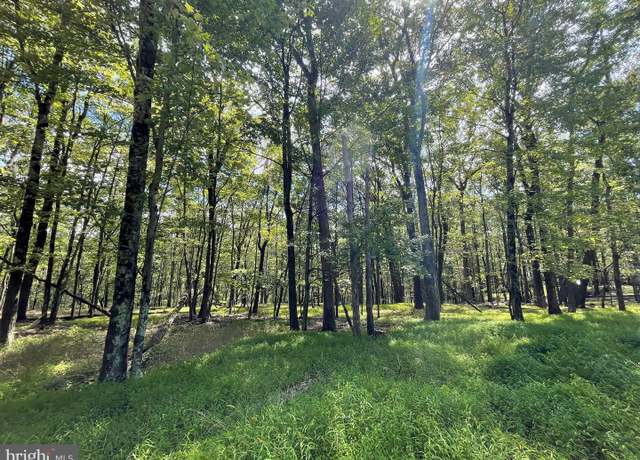 Property at 117 Spring Mountain Dr, Zion Grove, PA 17985