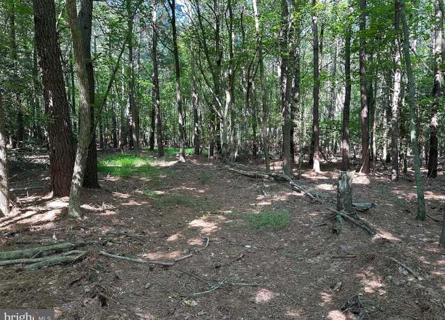 Property at Rhodesdale Vienna, Vienna, MD 21869