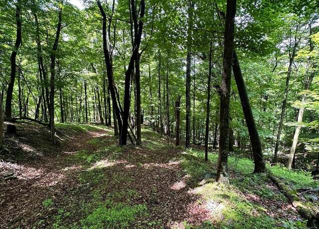 Property at 114 acs Patterson Creek Rd, Lahmansville, WV 26731