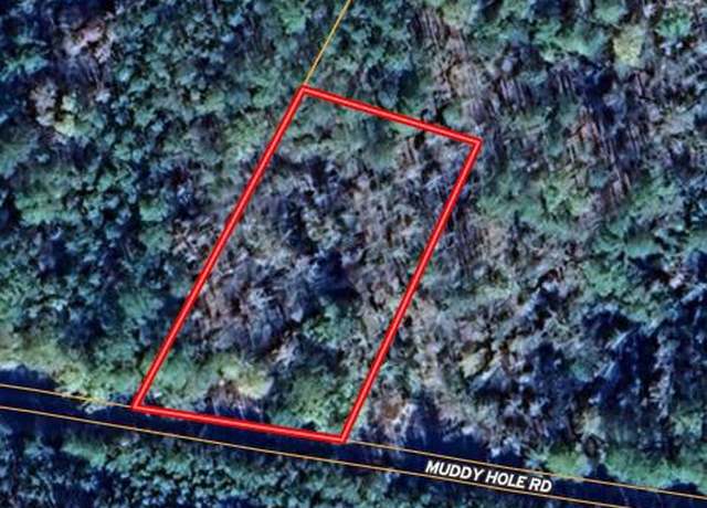 Property at 0 Muddy Hole Rd, Tyaskin, MD 21865