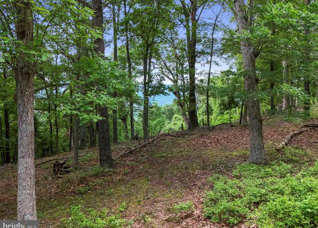 Property at LOT 1 Island Ridge Rd, Purgitsville, WV 26852